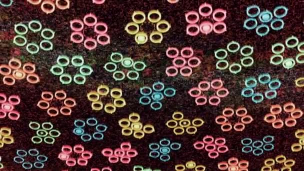 Campo en movimiento de pequeños círculos coloridos imitando siluetas de flores en colores rosados, lazo sin costuras. Animación. Concepto de infancia, formas simples que se asemejan a un capullo de flores. — Vídeos de Stock