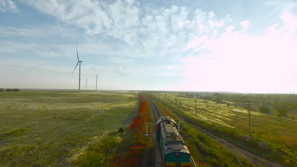 Top view of summer landscape with moving train. Shot. Drone flies with moving train on background of green fields. Train rides on railway in green field on background of horizon on sunny day