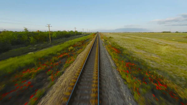 철도로 드론을 날리는 거요. 총 맞았어. 빠른 열차의 꼭대기시야. 빨간 꽃이 피어 있는 텅 빈 철로 위를 아름다운 비행 — 스톡 사진