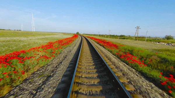 철도를 타는 빠른 여행. 총 맞았어. 움직이는 열차에서 볼 수있는 레일의 아름다운 풍경입니다. 빨간 꽃 과푸른 들판을 배경으로 열차를 타고 달리는 모습 — 스톡 사진