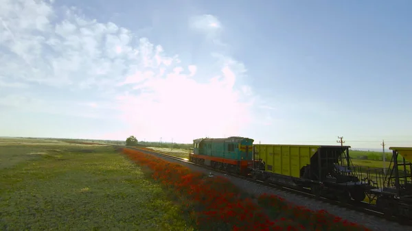 Top view of summer landscape with moving train. Shot. Drone flies with moving train on background of green fields. Train rides on railway in green field on background of horizon on sunny day