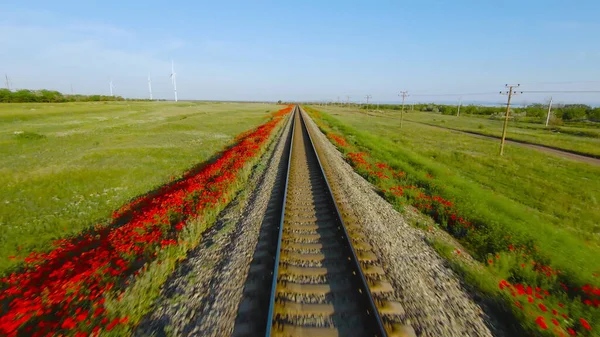 철도를 타는 빠른 여행. 총 맞았어. 움직이는 열차에서 볼 수있는 레일의 아름다운 풍경입니다. 빨간 꽃 과푸른 들판을 배경으로 열차를 타고 달리는 모습 — 스톡 사진