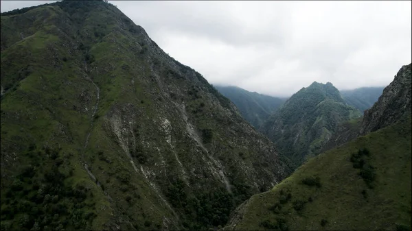 Vista aérea de un impresionante paisaje de montañas de verano. Acción. Verde laderas empinadas cubiertas de arbustos y hierba en la neblina de la mañana. —  Fotos de Stock