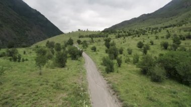 Dağlık kırsal yolda hareket eden beyaz bir arabanın havadan görünüşü. Başla. Yaz gezisi boyunca düz yolda giden araba ve nadir yetişen ağaçlar boyunca tatil..