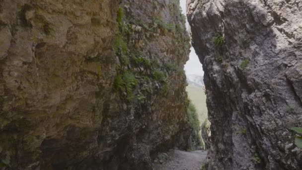 Στενό πέρασμα στα βράχια. Πάμε. Επικίνδυνο στενό φαράγγι ανάμεσα σε δύο βράχους. Στενό πέρασμα ανάμεσα στα βράχια του βουνού με βρύα — Αρχείο Βίντεο
