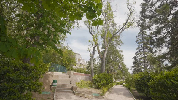 Güneydeki yeşil parkın yolu. Başla. Sarayda güzel bahçeli, bakımlı bir yol. Tarihi Sarayda Doğa Koruma Alanı — Stok fotoğraf