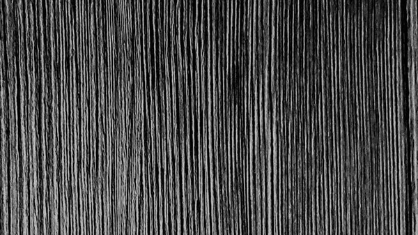 Padrão monocromático abstrato com listras piscando verticais brancas sobre fundo preto, loop sem costura. Animação. Parar o efeito de movimento com linhas móveis. — Fotografia de Stock