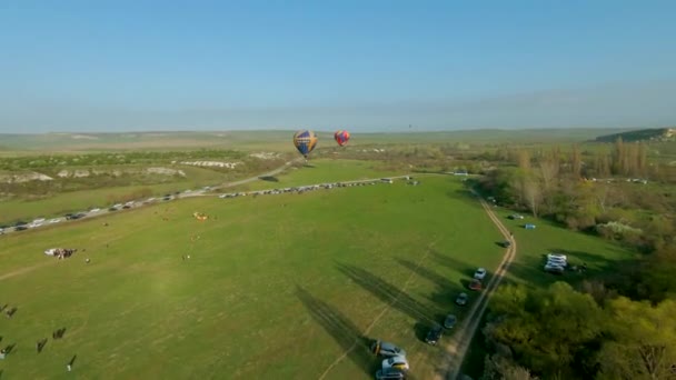 Ukraine Crimea August 2021 Top View Country Balloon Festival 开枪了许多不同的球在绿地的背景下从地面上升起 — 图库视频影像