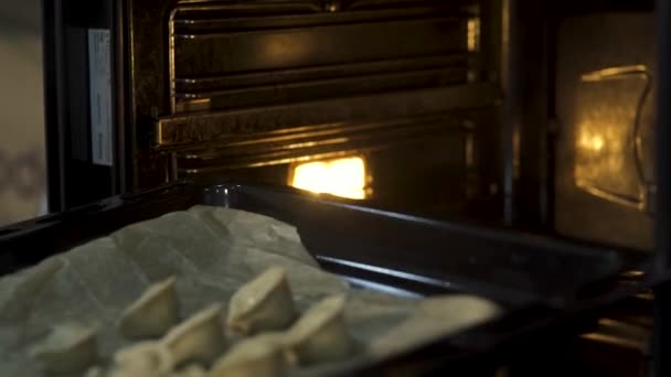 Närbild av att sätta dumplings i ugnen. Konst. Bakning dumplings på en bricka, begreppet matlagning mat hemma. — Stockvideo