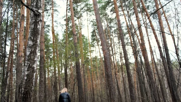 Beautiful blond girl walks in the autumn forest among pine trees. Concept. Woman enjoying countryside walking in woods and breathing fresh air. — Stock Photo, Image