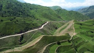 Güneşli bir yaz gününde çam ormanlarıyla görkemli dağ manzarası. Başla. Bulutlu arka planda yeşil dağ sırtı, Alpler.