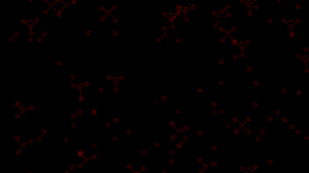 Einfache Animation der Zellentwicklung. Animation. Einfache Ketten von Zellen oder Bakterien auf schwarzem Hintergrund. Animation für Biologie oder Chemie mit sich bewegenden Bakterienketten im Dunkeln — Stockvideo