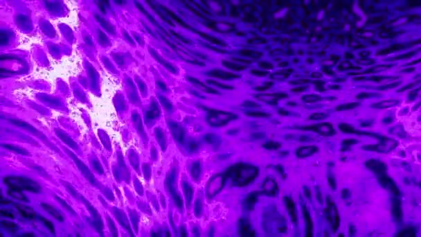 Il liquido del plasma si muove e brilla. Mozione. Animazione 3D di movimento liquido e scintillante nello spazio. Bella spessa luccicanti liquidi — Video Stock