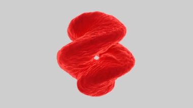 Soyut dönen sıvı kırmızı spiral dalgalanmalarla, pürüzsüz döngüyle dönüşüyor. Tasarım. Dönen harekette renkli olağandışı su nesnesi.