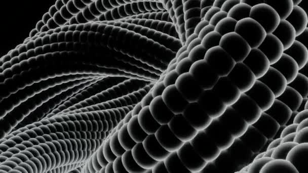 Animation de sphères assemblées en forme de spirale se tordant sur un fond noir, monochrome. Design. Figure noire et blanche avec un noyau au milieu entouré d'une spirale 3D cintrée, boucle transparente. — Video