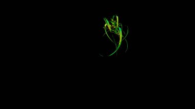 Parlak değişken çizgilerin kaotik dalgalanma hareketi, kusursuz döngü. Tasarım. Bükülen ve akan neon kıvrımlı çizgiler siyah bir arkaplanda izole edilmiş..