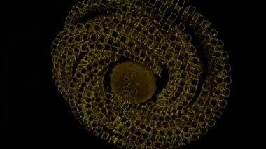 Metal ya da ron zinciri alışılmadık dönen figürü siyah bir arkaplanda izole edilmiş. Tasarım. Soyut metalik dönme ve bükülme şekli, pürüzsüz döngü.