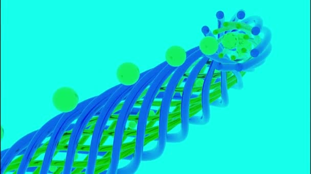 Un túnel o corredor para bolas voladoras que parecen un tubo de fibras retorcidas. Diseño. Abstracción colorida con figura transformadora y en movimiento sobre un fondo azul. — Vídeos de Stock