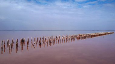 Tuz çıkarma alanının eski ahşap direkleri mavi gökyüzünün altında sakin, pembe renkli suyu yansıtıyor. Medya