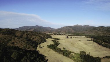 Yuvarlanan tepeler ve ormanlarla çevrili kuru bir vadi zemininin geniş hava manzarası.