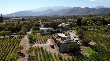 Modern bir şaraphane binasının yörüngesinde sıralanmış üzüm bağlarının arasına yerleştirilmiş hava görüntüleri.