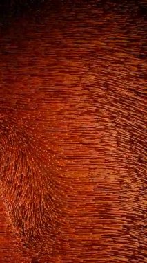 Binlerce kızıl ve kahverengi saç parçacıkları gibi kusursuz bir döngü içinde hareket ediyor.