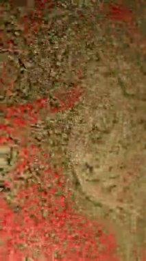 Beige colored microscopic particles slowly move and swirl, covering a vibrant red surface