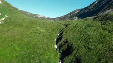 Güneşli bir günde, dolambaçlı bir nehirle yemyeşil bir dağ vadisinde uçan insansız hava aracı görüntüleri. Medya