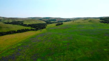 İnsansız hava araçları engin yeşil bir arazide uçuyor. Yuvarlanan tepeler, yemyeşil çayırlar ve kır çiçekleri var. Medya