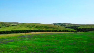 Güzel yeşil tepelerin, yemyeşil tarlaların ve açık mavi yaz gökyüzünün üzerinde uçan manzara görüntüleri. Medya