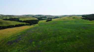 Uçsuz bucaksız, yemyeşil bir arazinin geniş hava manzarası. Yuvarlanan tepeler, çayırlar ve açan kır çiçekleri.
