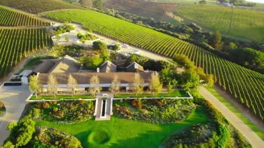 Üzüm bağları sıraları ve fayanslı çatıları ve güneşli terasları olan manikürlü bahçeler arasında yuva yapmış hava şaraphanesi. Medya