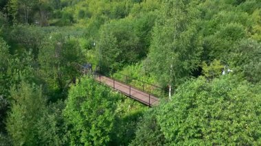 Yeşillik yeşil bir orman parkında ahşap bir patikada yürüyen bir ailenin hava görüntüsü. Kırp