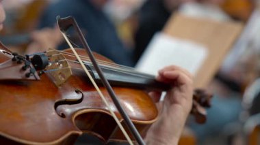 Keman Performansı, Yaylı Teller ve Odaklı Parmaklar, Sayfa Müzik Stantları Bulanık. Medya