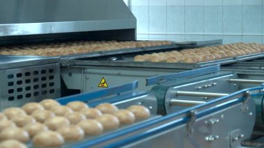 Otomatik Taşıma İstasyonunda Taze Yuvarlanmalar, Yoğun Altın Yuvarlak Geçiş Teftişi. Medya