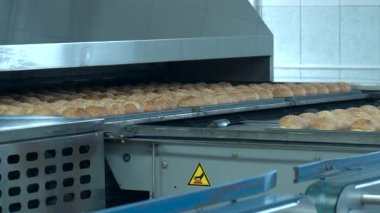 Altın Çörekler Endüstriyel Fırın 'dan çıkarken konveyörde, Paslanmaz Çelik Tepsiler Yüksek Hassas Fırında hareket ederken. Medya