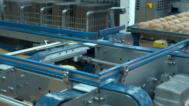 Otomatik Fırın Taşıyıcısı, Mavi Metal Tepsilerdeki Çörekleri Sabit Kuşak Üretim Hattı 'na taşıyor. Medya
