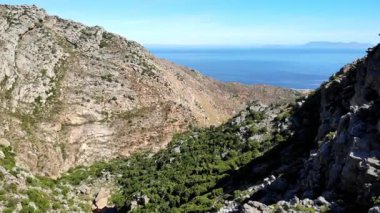 Güneşe bakan Rocky Dağı Vadisi Açık Mavi Gök, Horizon 'daki Uzak Ada, Çam kaplı yamaçlar. Medya