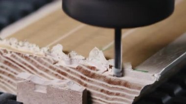 Yakın çekim Cnc Milling Tahta talaşları Yüksek Hız Yönlendirici Biraz Oymalı Kabartmalı Çizgi Film, Kesinlik Kaynağı Oluşturma. Medya
