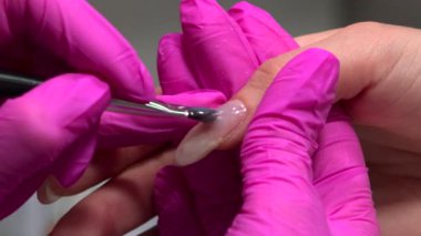 Pembe Eldivenleri Kapat, Akrilik Biçimli, Parmak Ucu Teknisyen Tarafından Tutulan, Hassas Fırça Vuruşları Bina Uzantısı. Medya