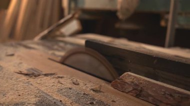 Yakın plan dairesel testere bıçağı Tozlu Masa 'dan yükseliyor, Sert Plank' a agresif bir kesik, Havada. Medya