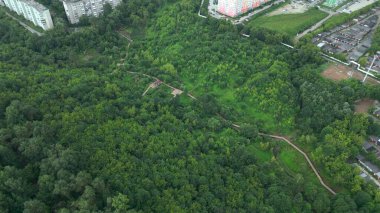 Uçan dron görüntüsü, dolambaçlı ahşap yürüyüş yolları olan yemyeşil bir şehir parkının üzerinde uçuyor. Kırp