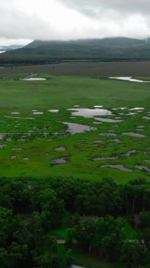 Hava görüntüleri bulutlu bir günde dolambaçlı bir nehirle engin yeşil bir bataklık vadisinin üzerinde uçuyor. Medya
