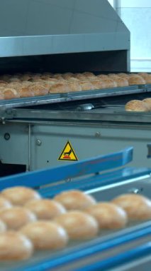 Altın Çörekler Endüstriyel Fırın 'dan çıkarken konveyörde, Paslanmaz Çelik Tepsiler Yüksek Hassas Fırında hareket ederken. Medya