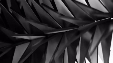 Siyah ve Beyaz Katlanmış Yüzgeçler Keskin Geometrik Ritim ve Katmanlı Derinlik, Stüdyo Işıklandırması