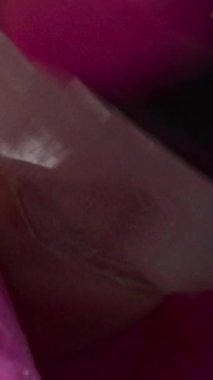 Yakından Beyaz Müşteri Tırnak Kırpma ve Cilalama, Pembe Eldiven Manikürcüsü Çivi Tazelemek İçin Göğüs Ucu ve Fırça Kullanıyor. Medya