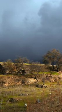 Çalkantılı Fırtına Horizon, Günışığı Toprakları ve Alçak Kayalıklar 'a çıkan Sürgülü Oklar' la Yüzleşen Altın Tarım Alanı. Eylem