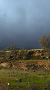 Çalkantılı Fırtına Horizon, Günışığı Toprakları ve Alçak Kayalıklar 'a çıkan Sürgülü Oklar' la Yüzleşen Altın Tarım Alanı. Eylem