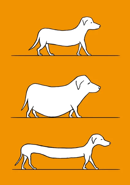 Ritningar av hundar — Stock vektor