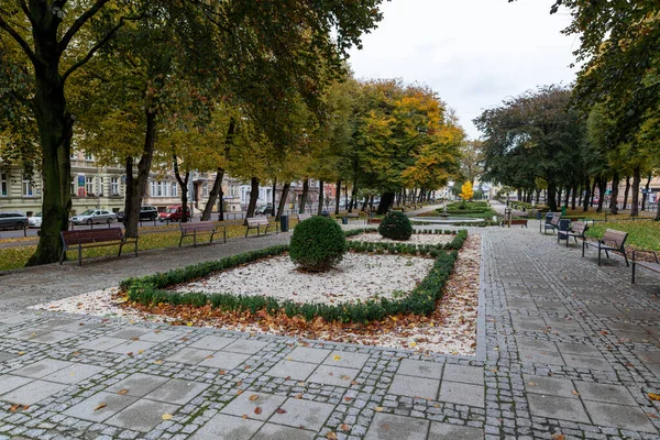 スラプスク ポモルスキー ポーランド 2020年10月30日 市内中心部の小さな公園 市内の休息とリラクゼーションの場所 — ストック写真